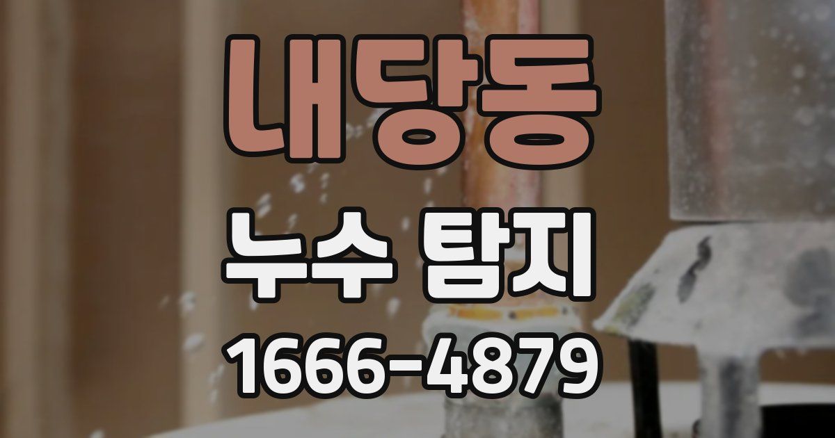 내당동 누수 탐지