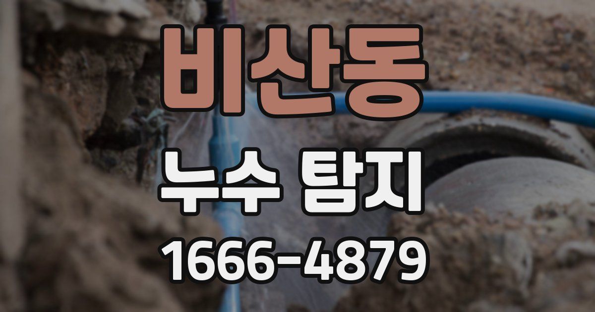 비산동 누수 탐지