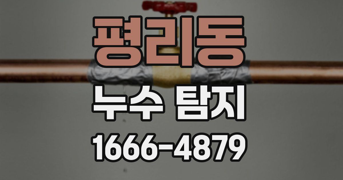 평리동 누수 탐지