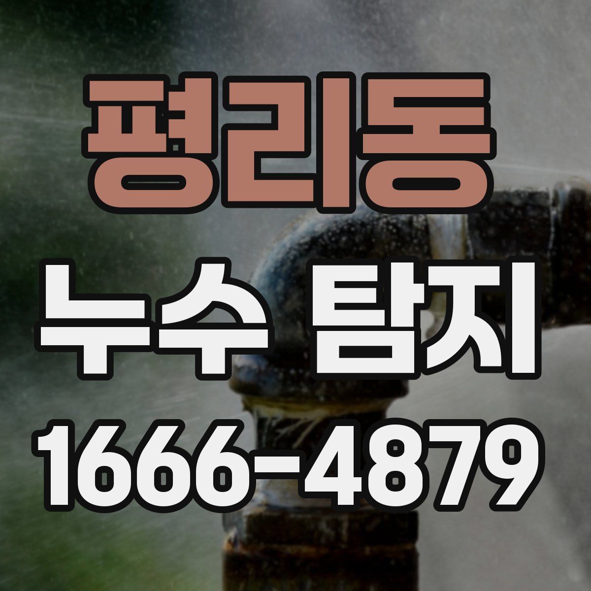 평리동 누수 탐지