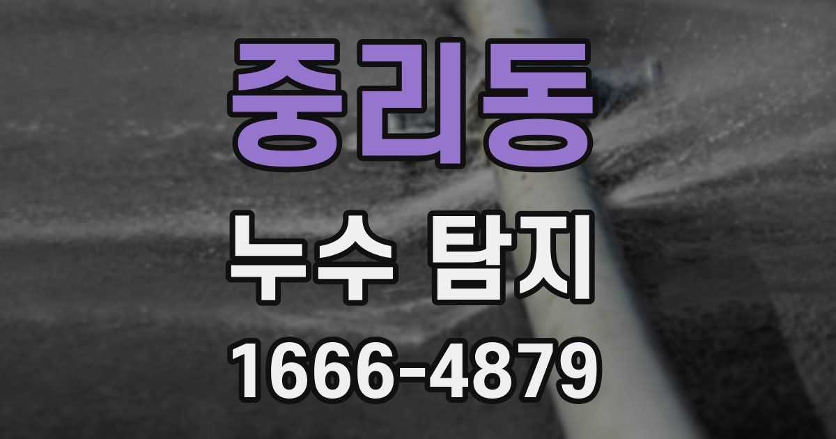 중리동 누수 탐지
