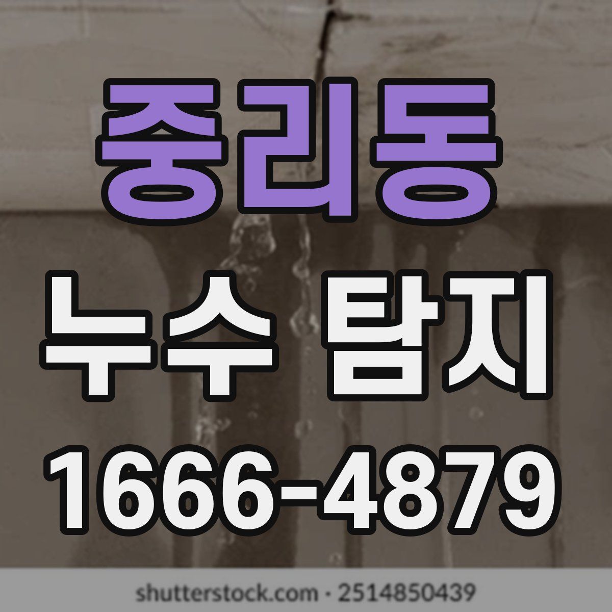 중리동 누수 탐지