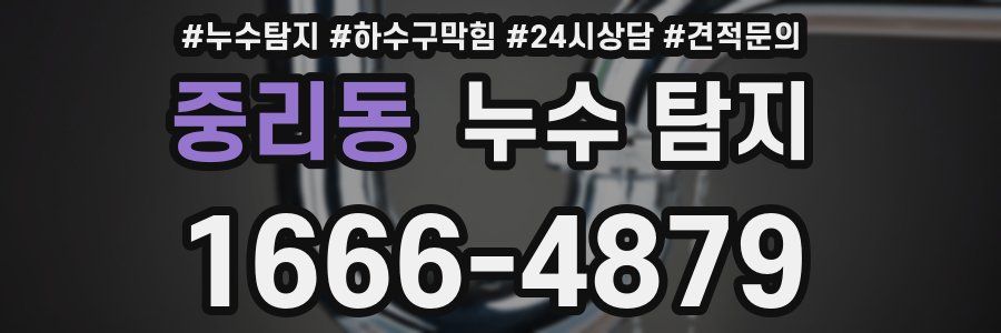 중리동 누수 탐지
