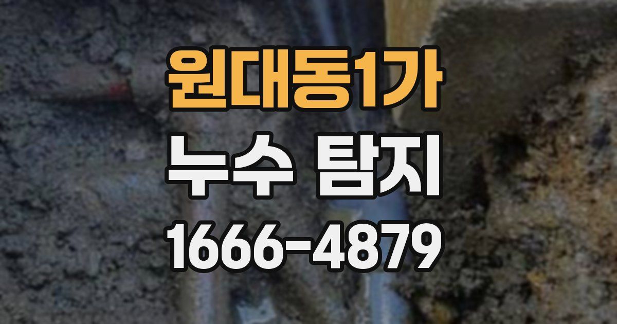 원대동1가 누수 탐지