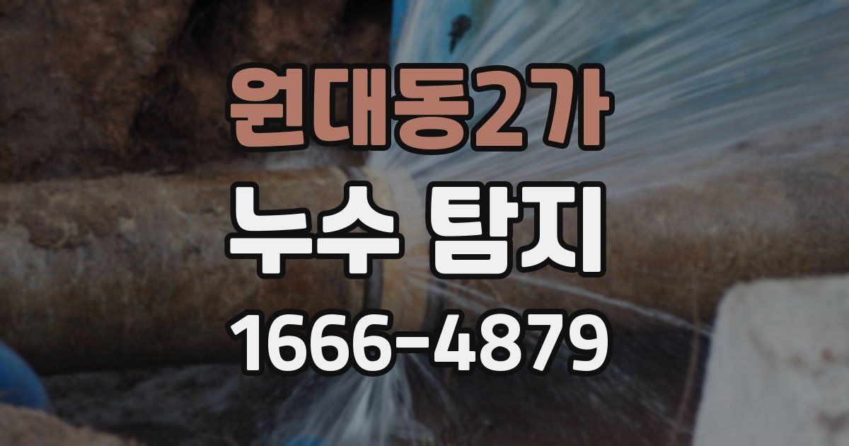 원대동2가 누수 탐지