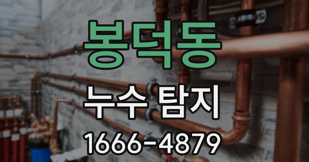 봉덕동 누수 탐지