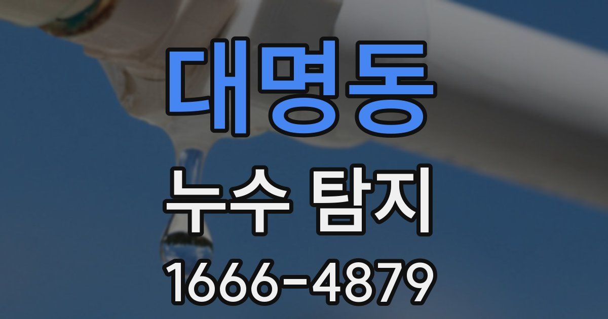 대명동 누수 탐지
