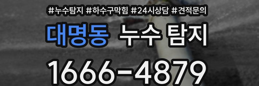 대명동 누수 탐지
