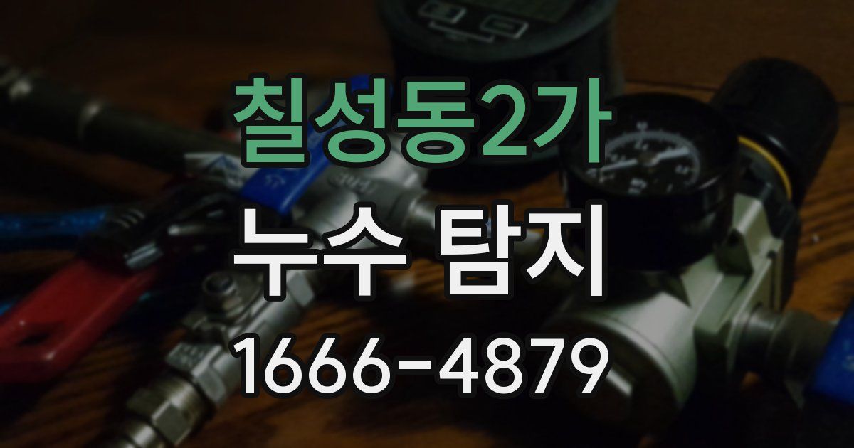 칠성동2가 누수 탐지