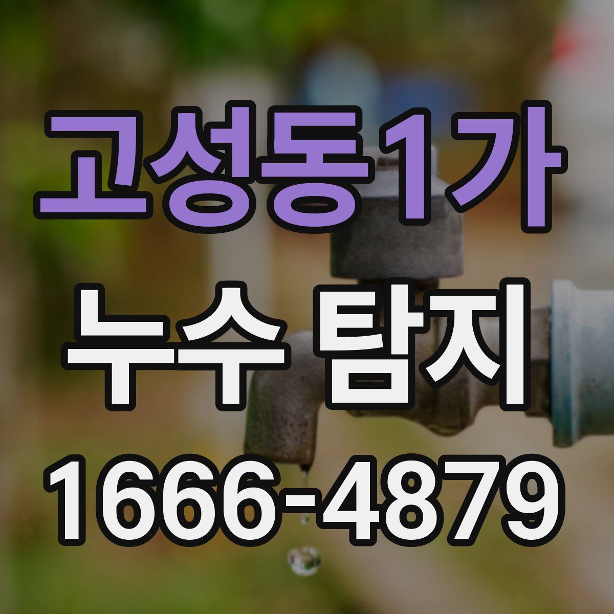 고성동1가 누수 탐지