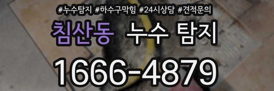 침산동 누수 탐지