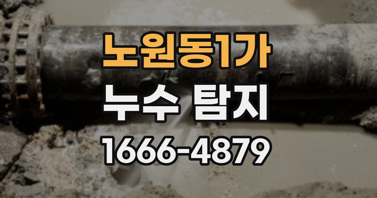 노원동1가 누수 탐지