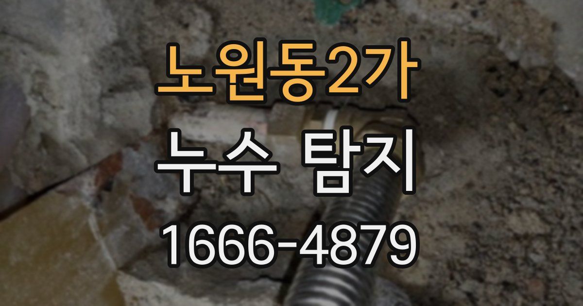 노원동2가 누수 탐지