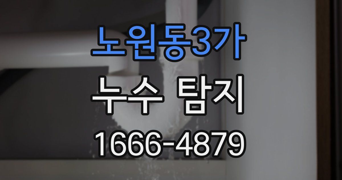 노원동3가 누수 탐지