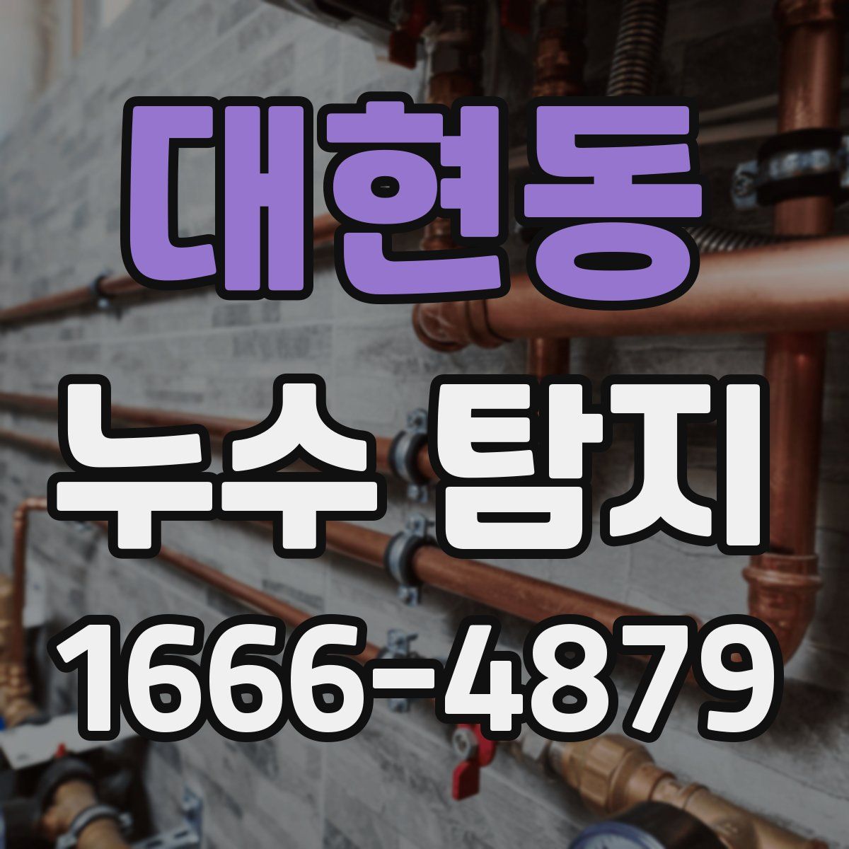 대현동 누수 탐지
