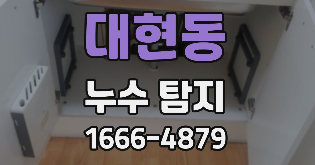 대현동 누수 탐지