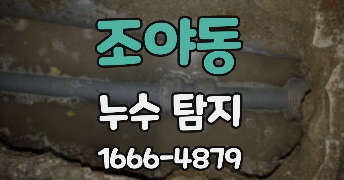 조야동 누수 탐지