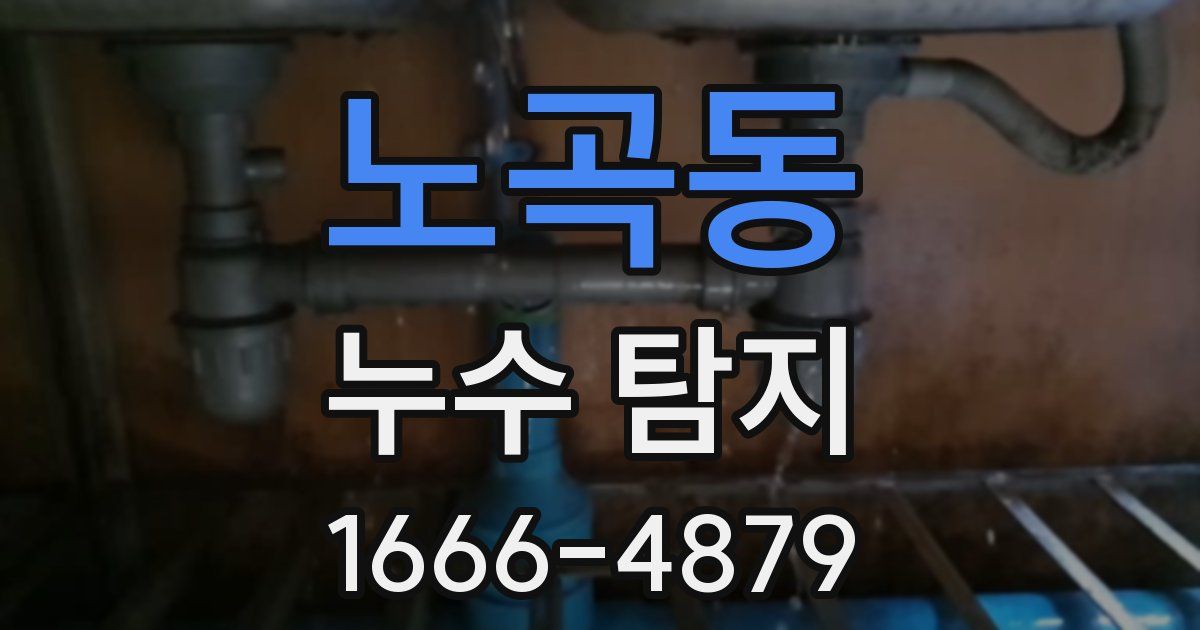 노곡동 누수 탐지