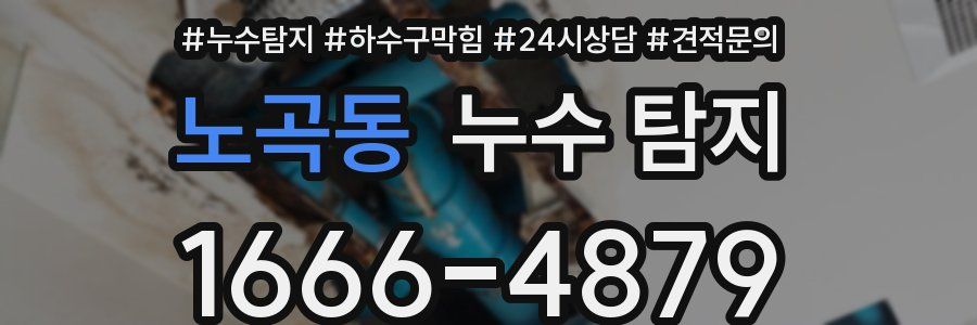 노곡동 누수 탐지