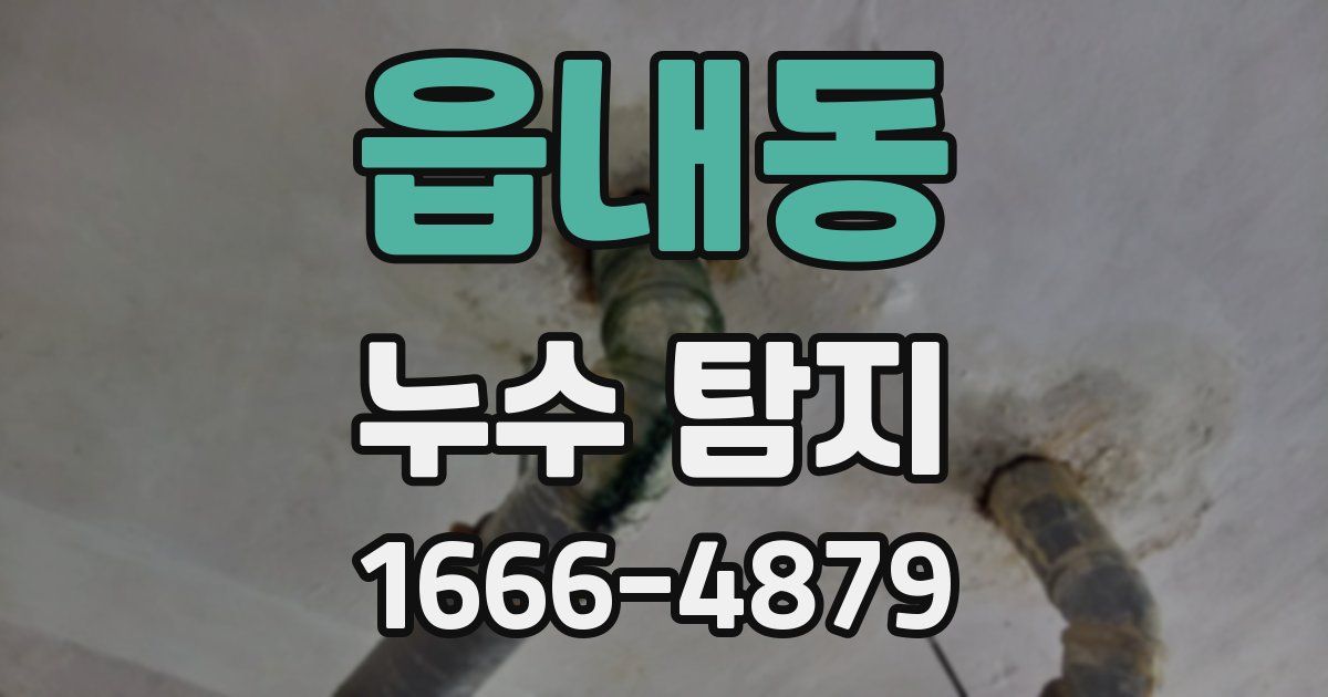 읍내동 누수 탐지
