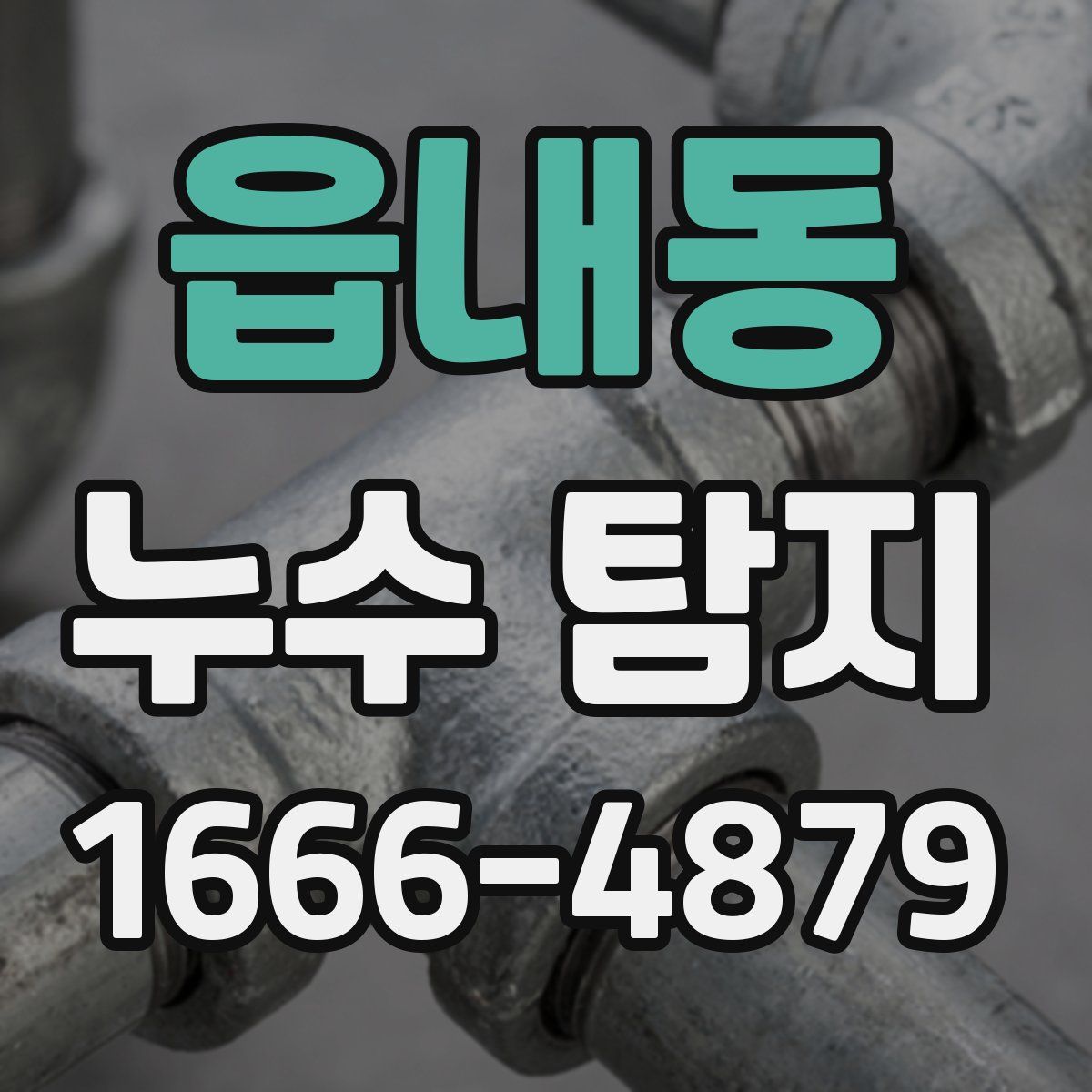 읍내동 누수 탐지