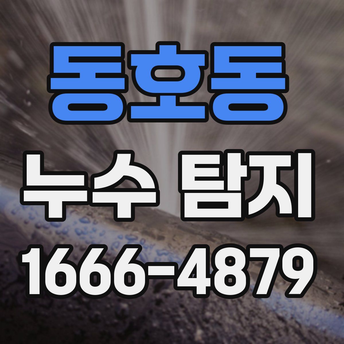 동호동 누수 탐지