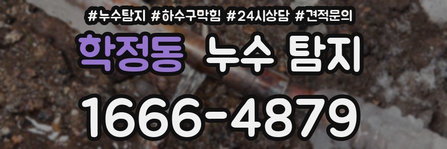 학정동 누수 탐지