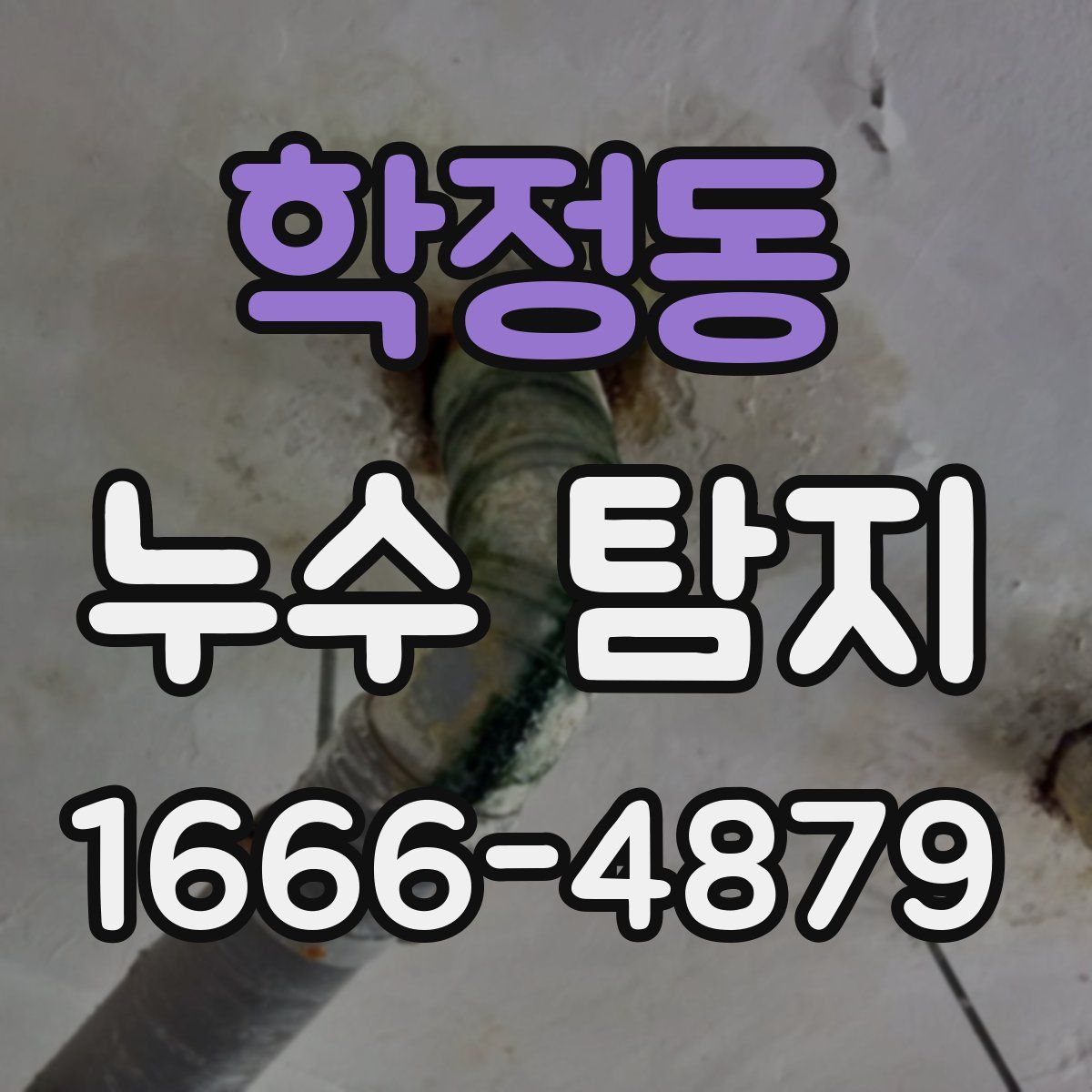 학정동 누수 탐지