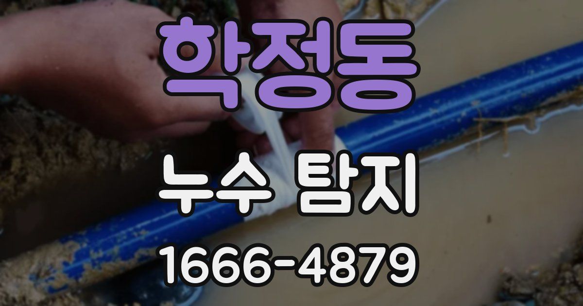 학정동 누수 탐지