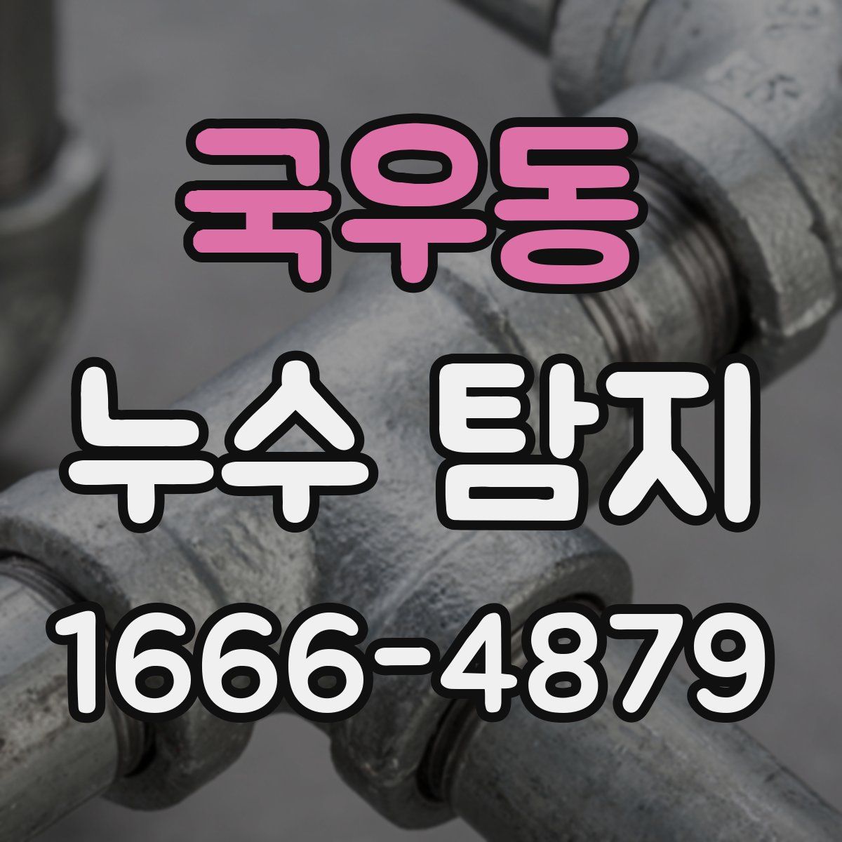 국우동 누수 탐지
