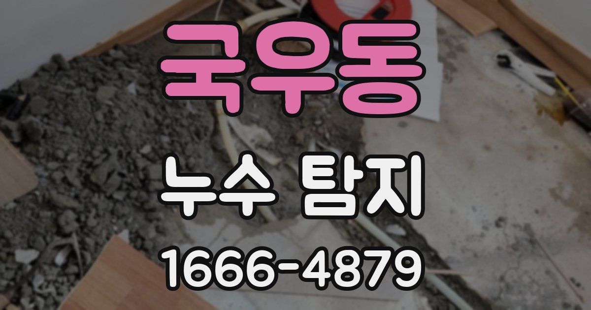 국우동 누수 탐지