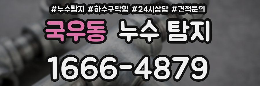 국우동 누수 탐지