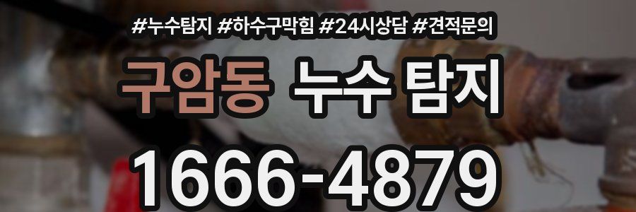 구암동 누수 탐지