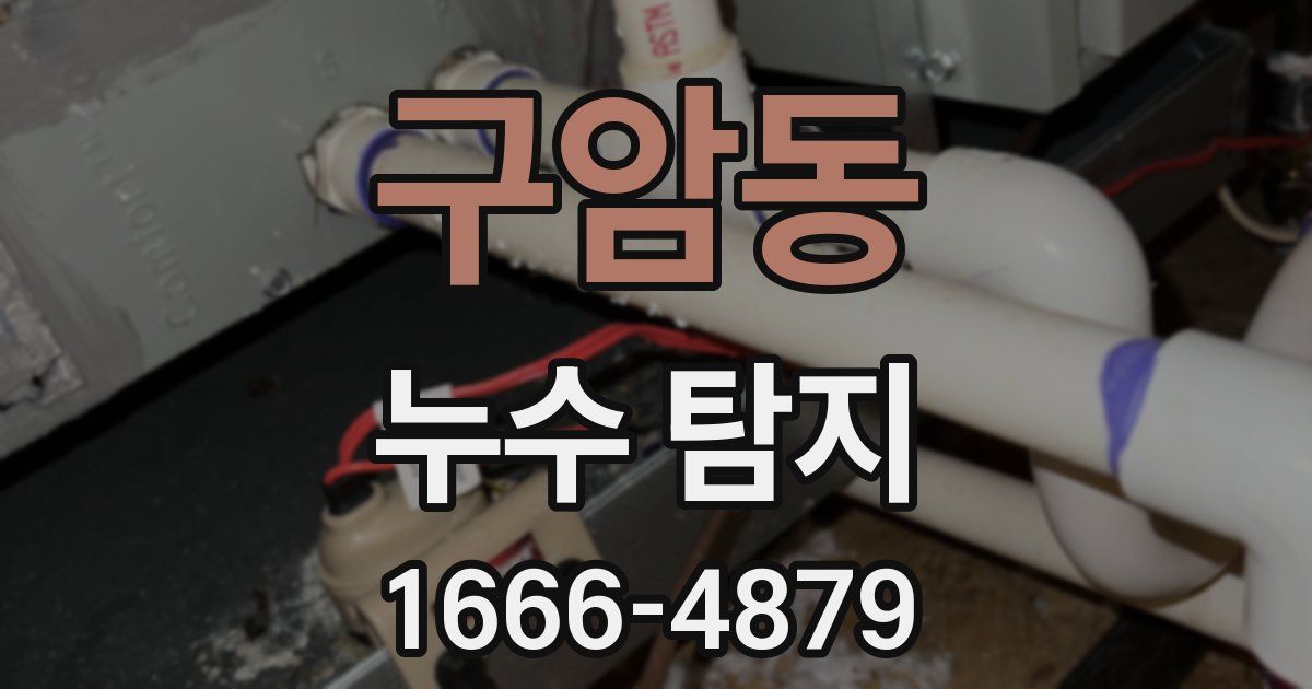 구암동 누수 탐지