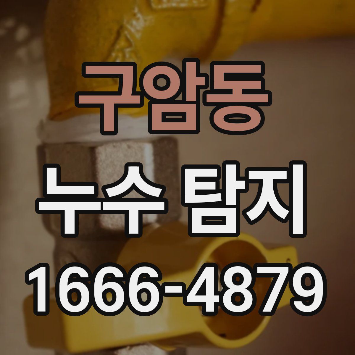 구암동 누수 탐지