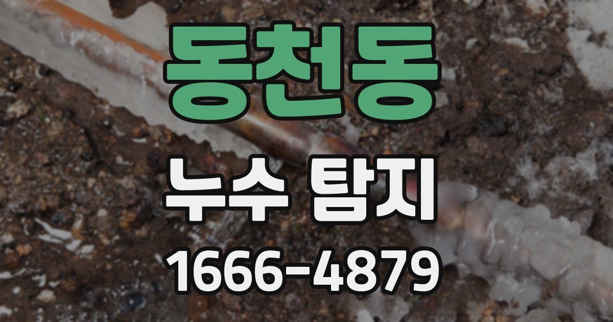 동천동 누수 탐지