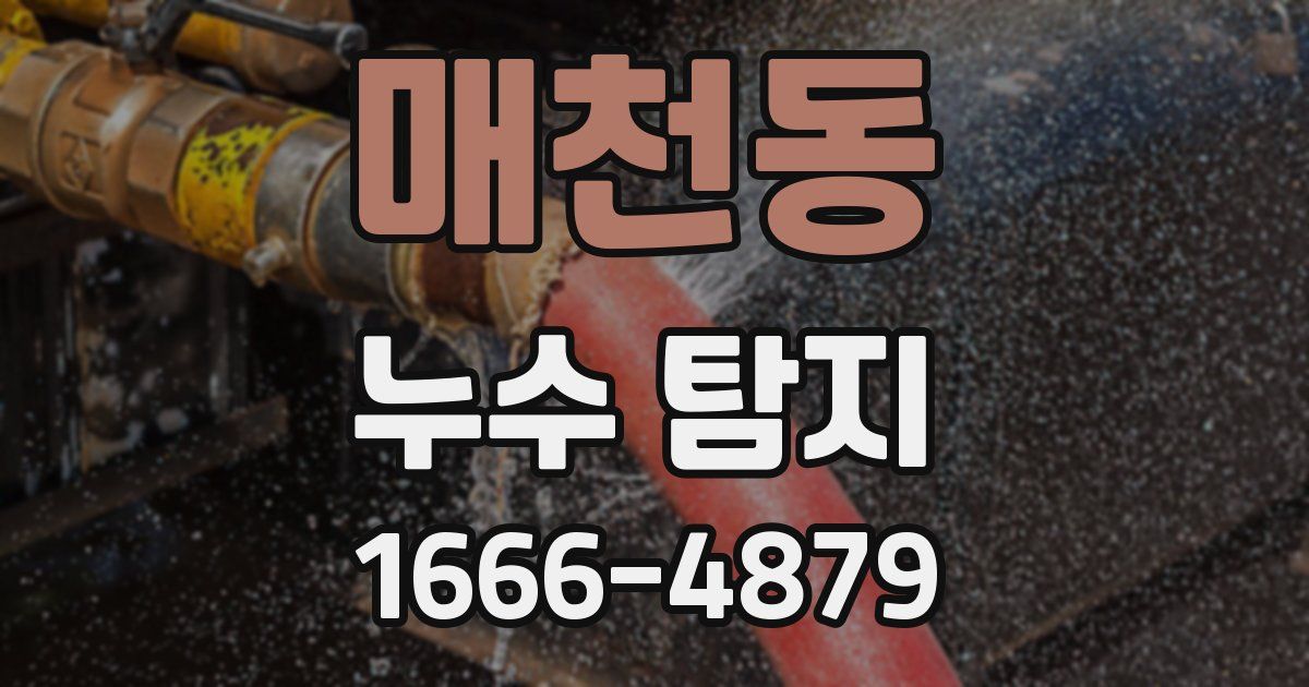 매천동 누수 탐지
