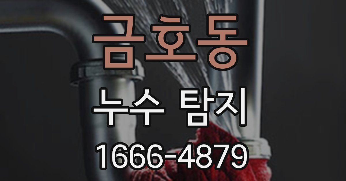 금호동 누수 탐지