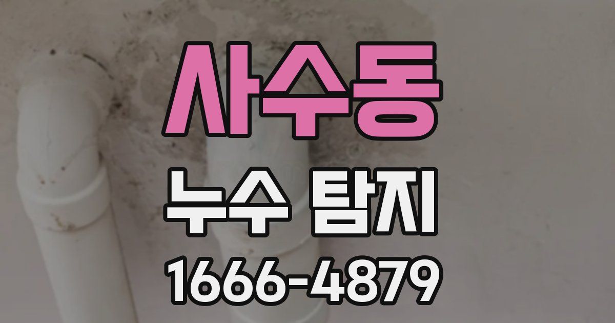 사수동 누수 탐지