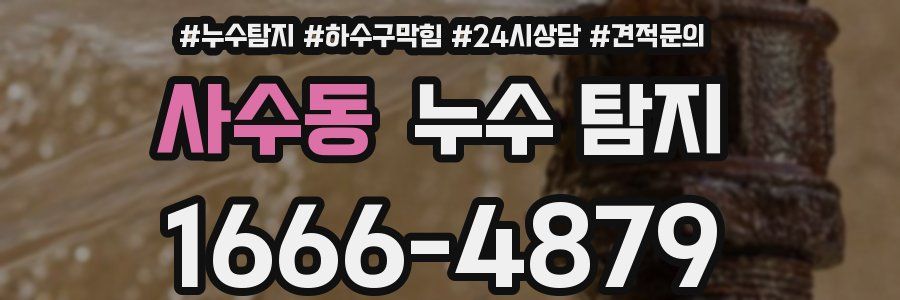 사수동 누수 탐지
