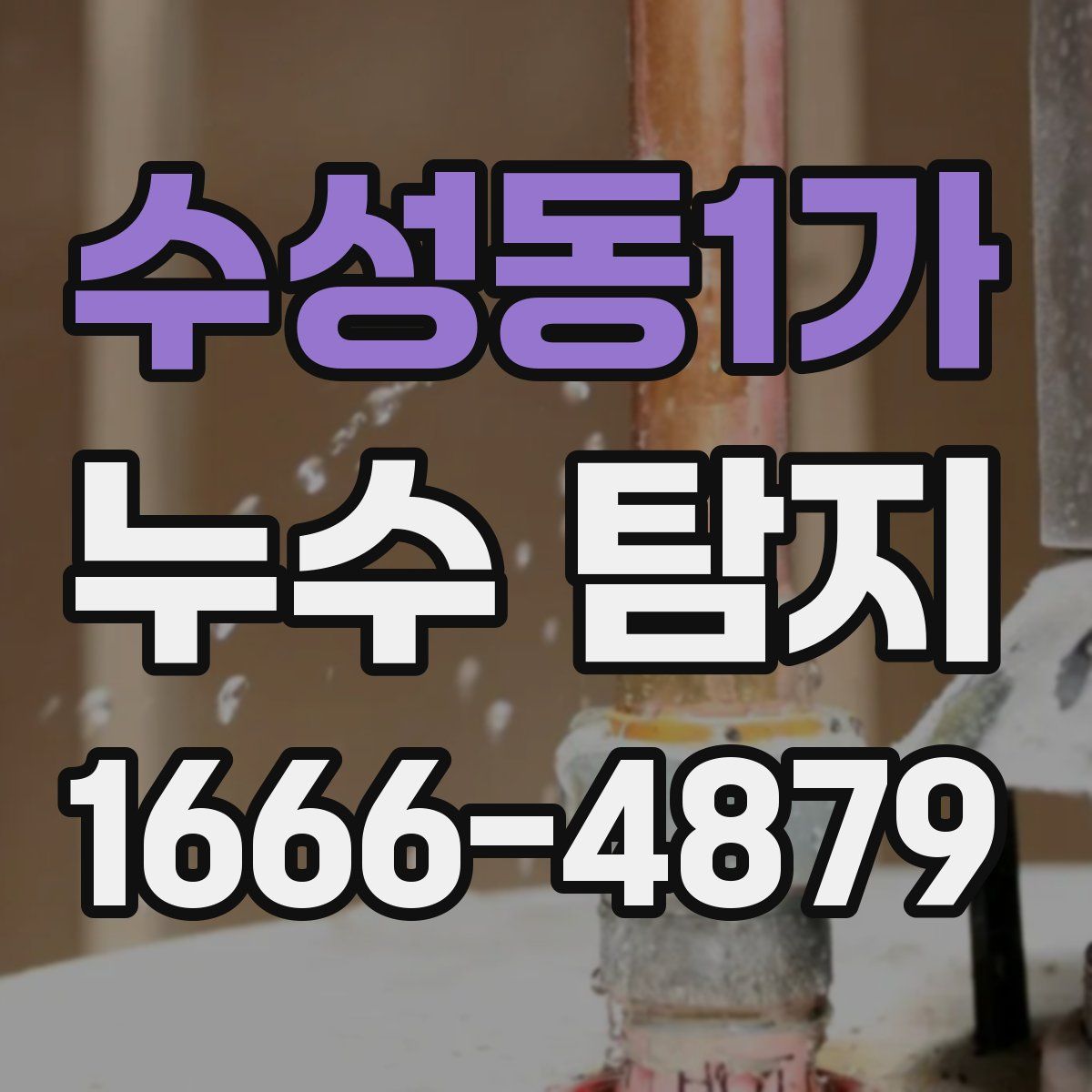 수성동1가 누수 탐지