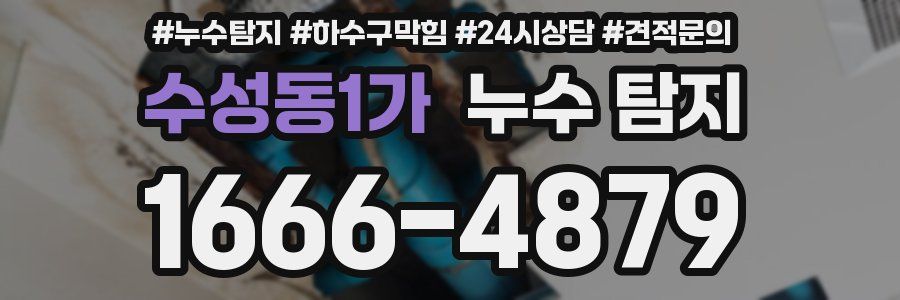 수성동1가 누수 탐지