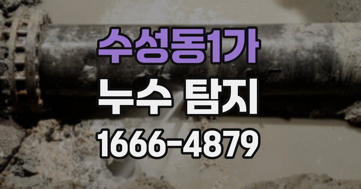 수성동1가 누수 탐지