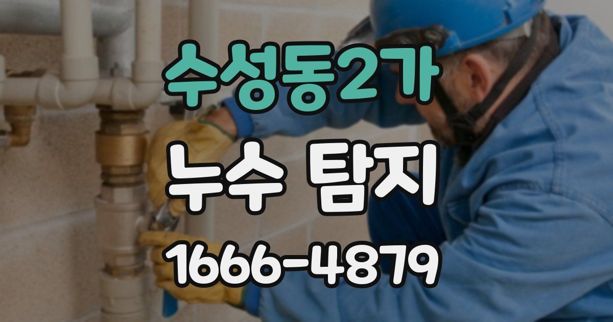 수성동2가 누수 탐지