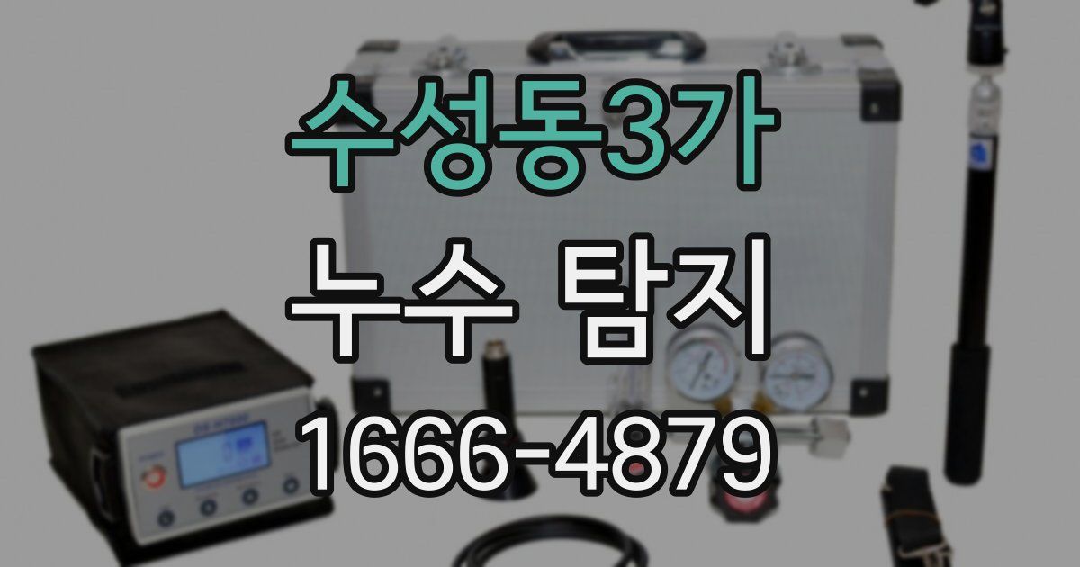 수성동3가 누수 탐지