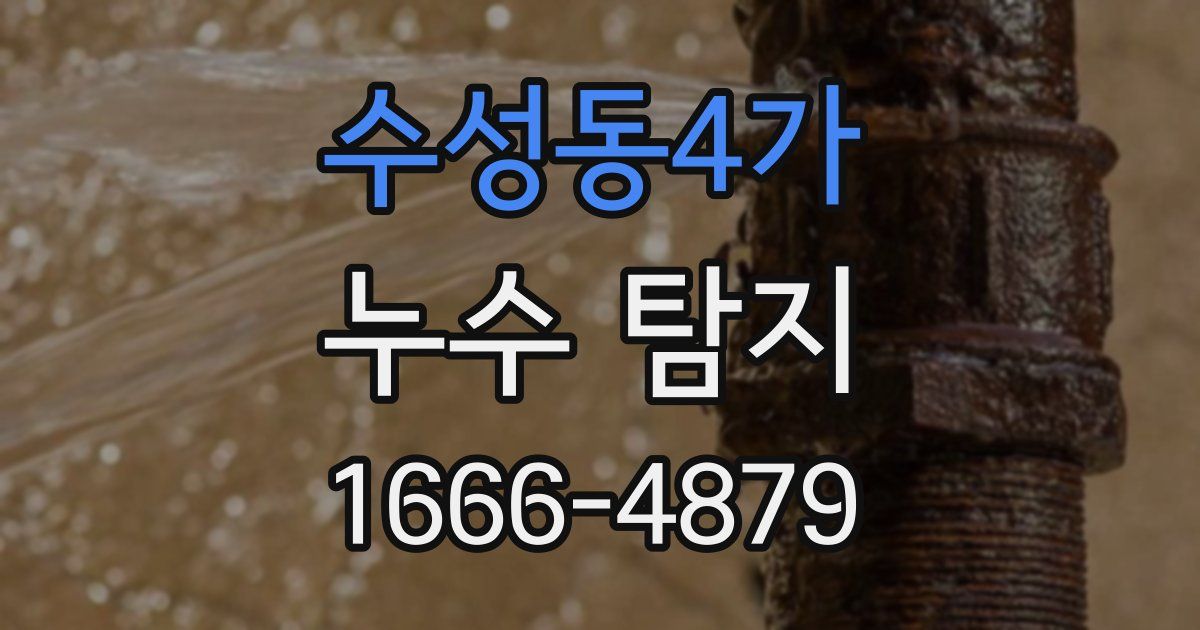 수성동4가 누수 탐지