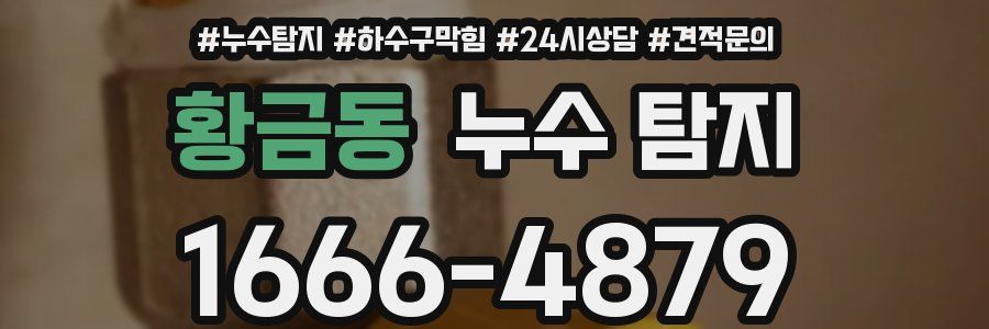황금동 누수 탐지