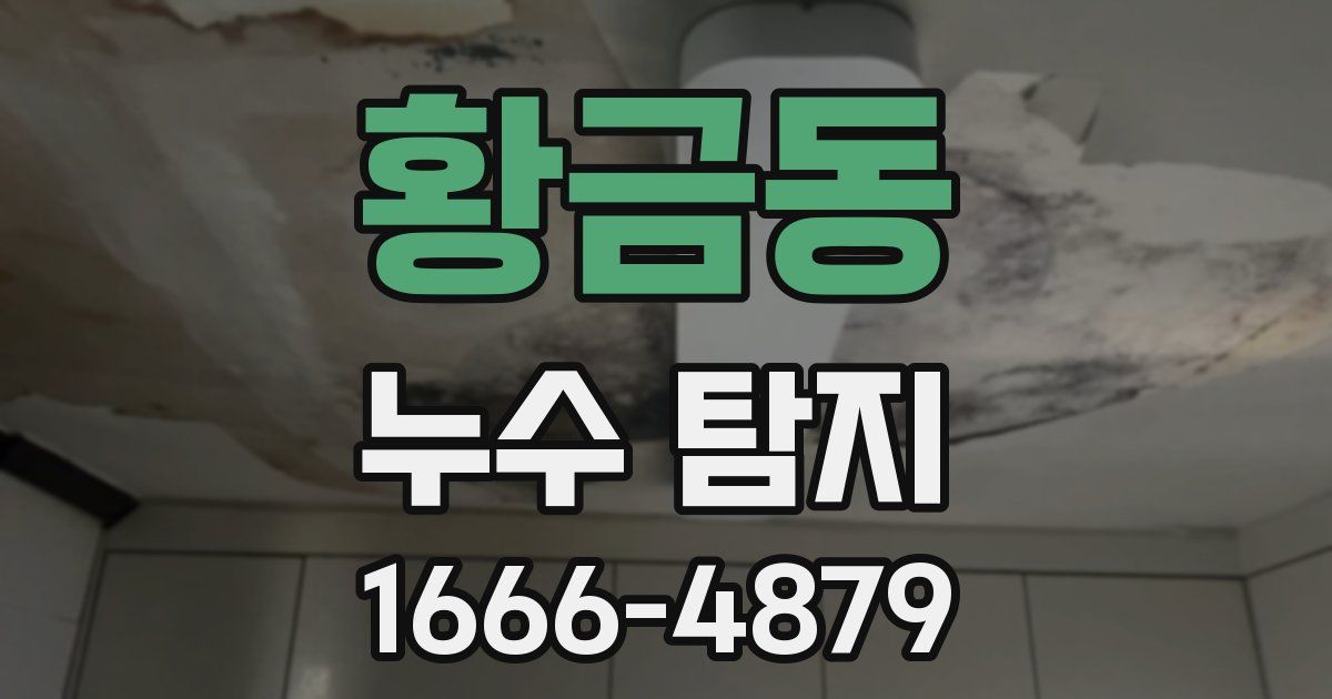 황금동 누수 탐지