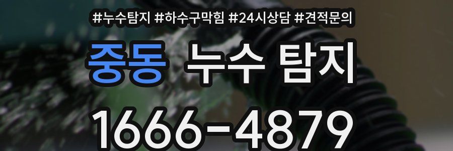 중동 누수 탐지