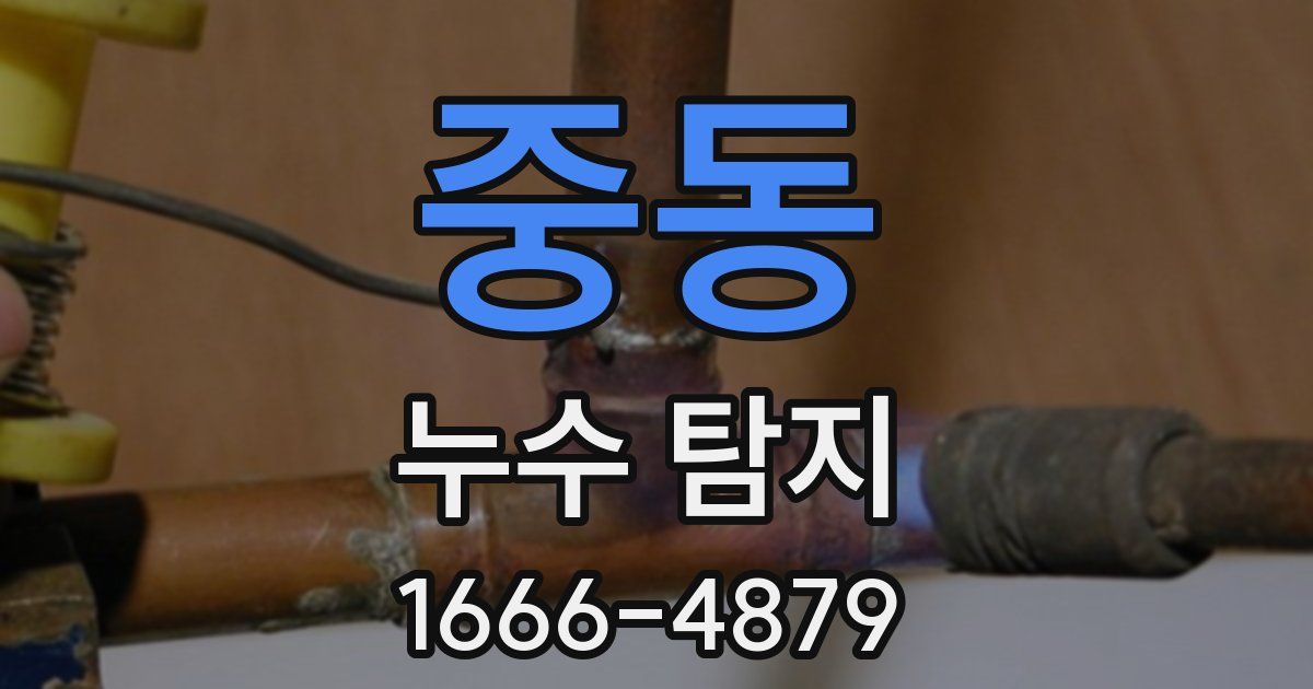 중동 누수 탐지